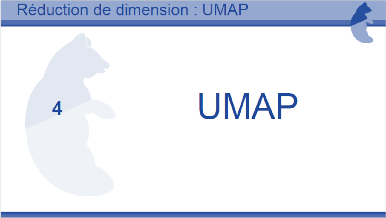 Tutoriel Réduction dimension UMAP